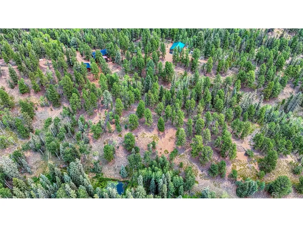 5544 County Road 5 Road Divide, CO 80814