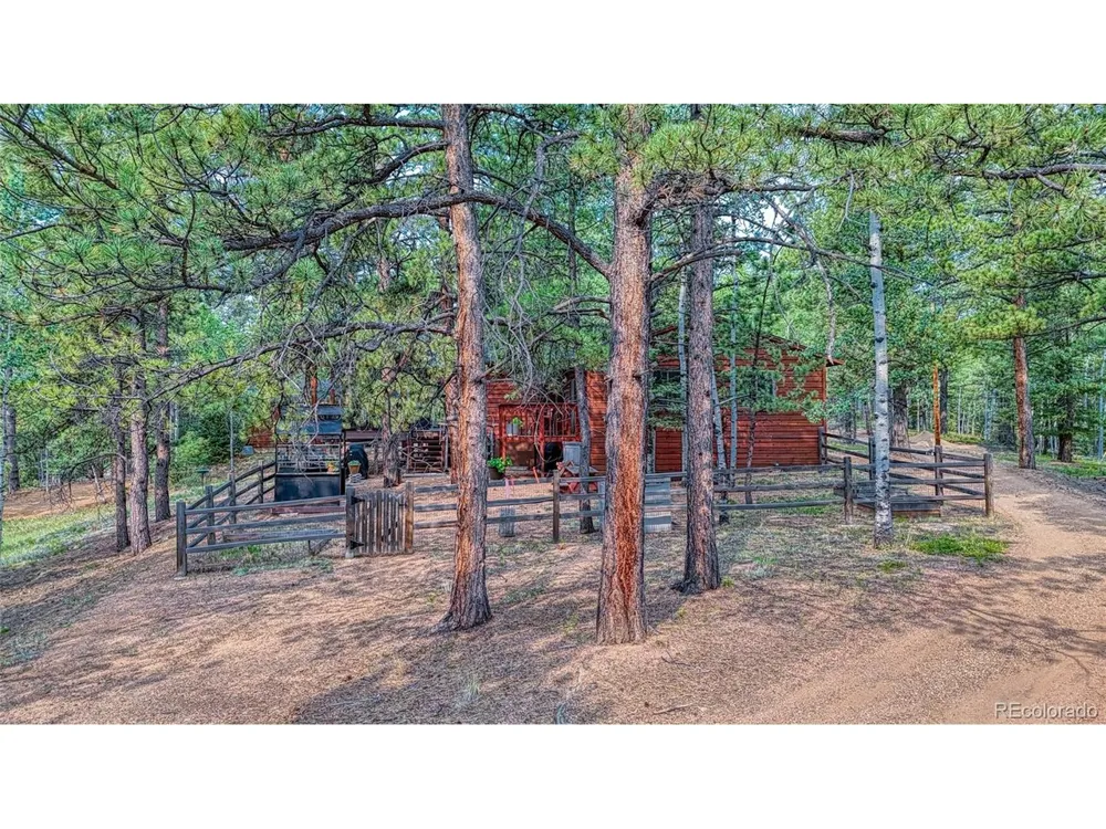 5544 County Road 5 Road Divide, CO 80814
