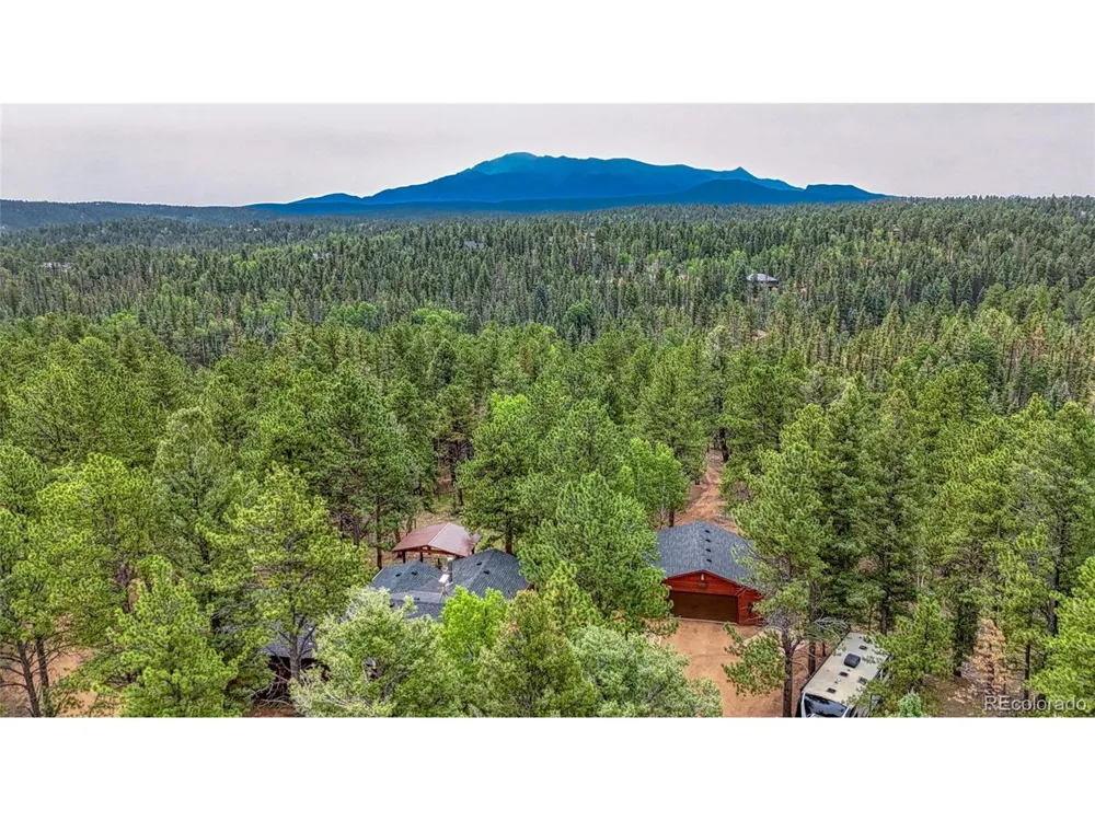 5544 County Road 5 Road Divide, CO 80814