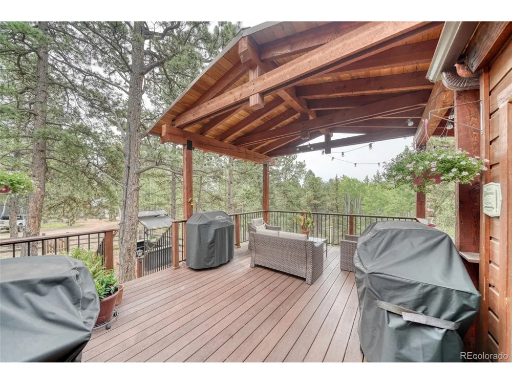 5544 County Road 5 Road Divide, CO 80814