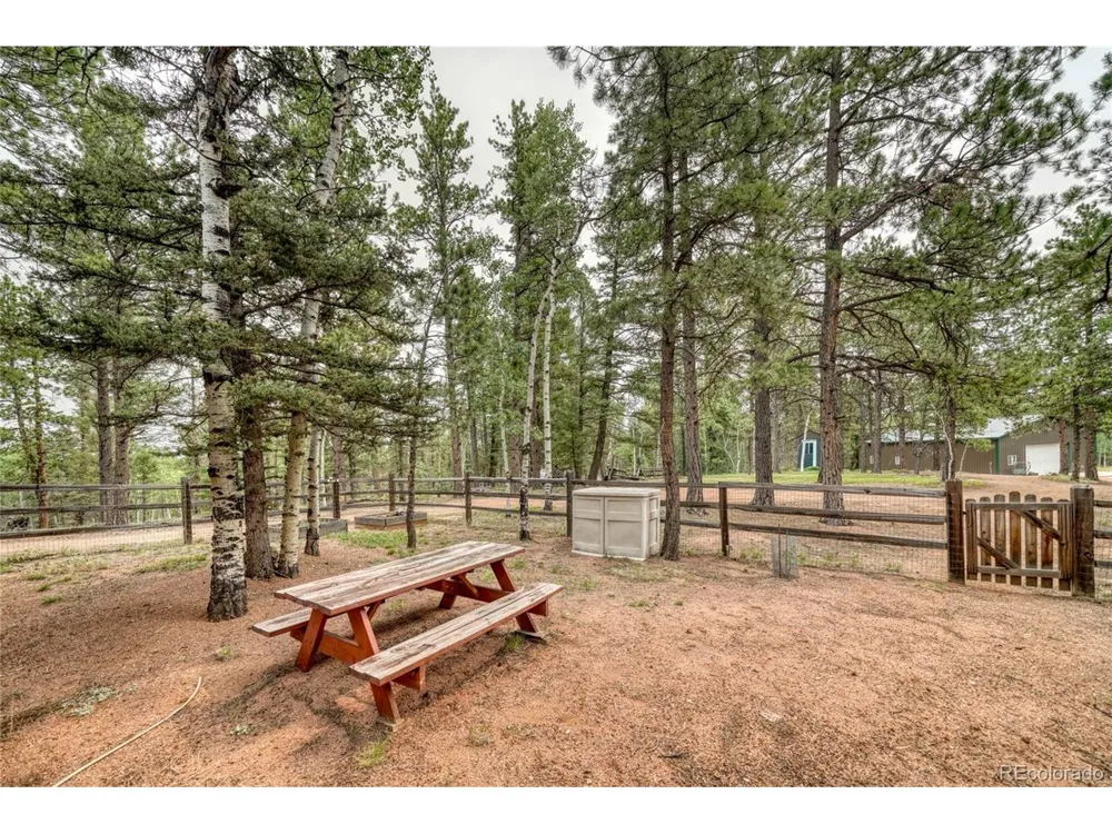 5544 County Road 5 Road Divide, CO 80814