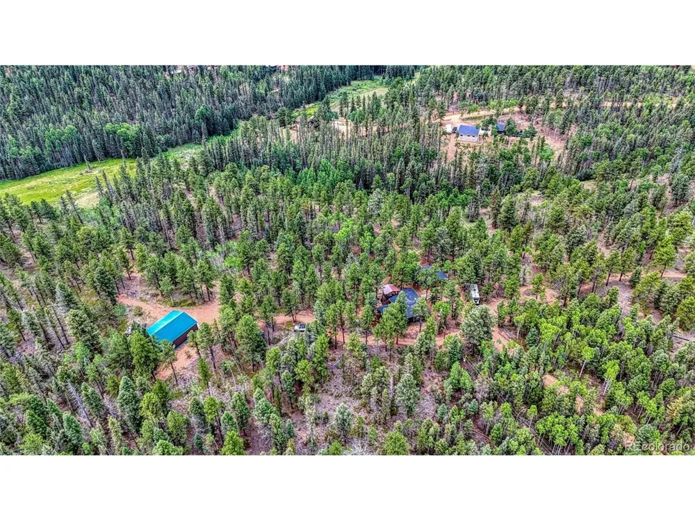 5544 County Road 5 Road Divide, CO 80814