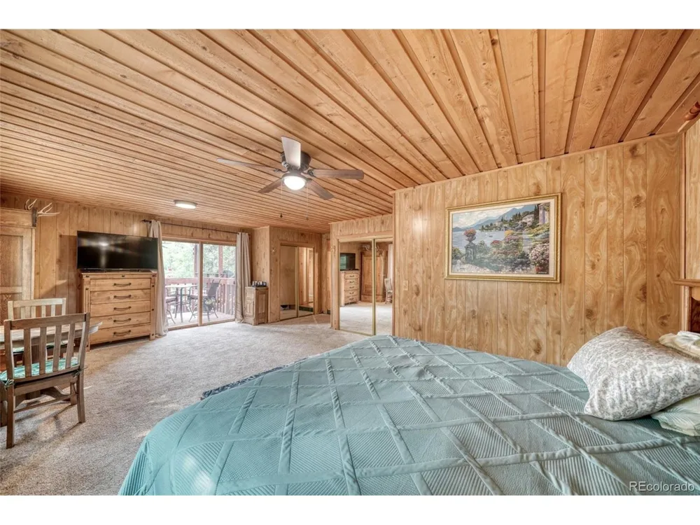 5544 County Road 5 Road Divide, CO 80814