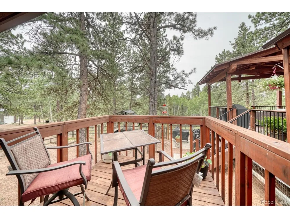 5544 County Road 5 Road Divide, CO 80814