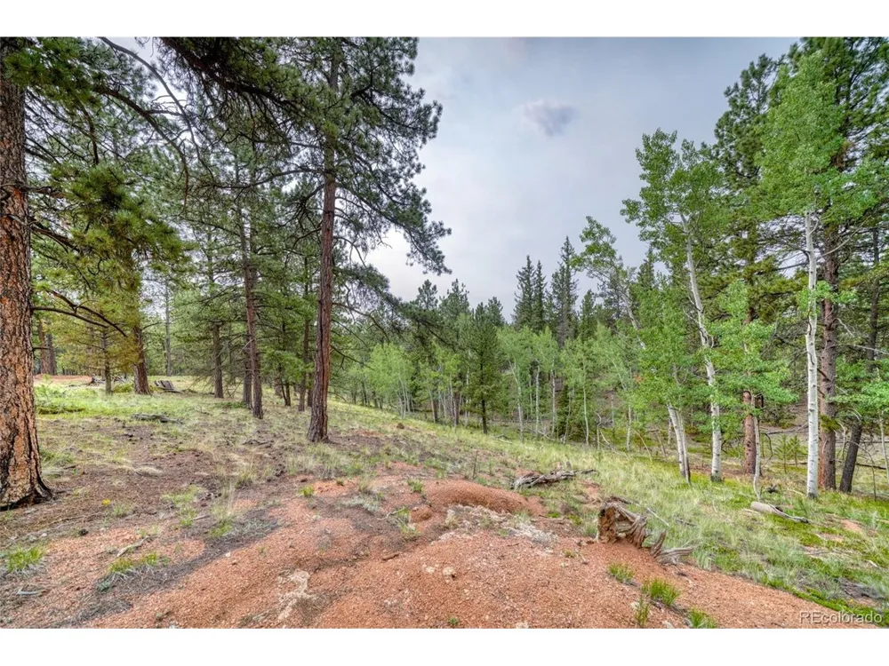 5544 County Road 5 Road Divide, CO 80814