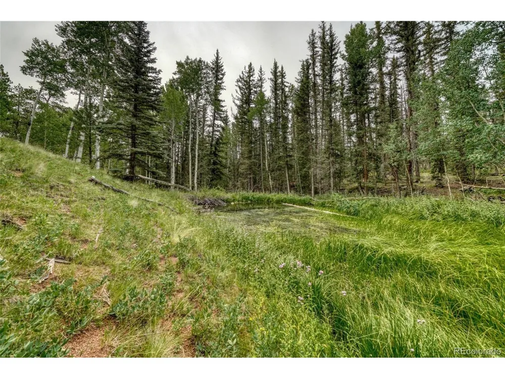 5544 County Road 5 Road Divide, CO 80814