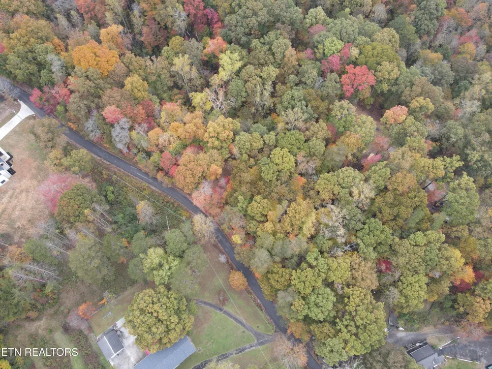 126 Pleasant View Loop Rd Clinton, TN 37716