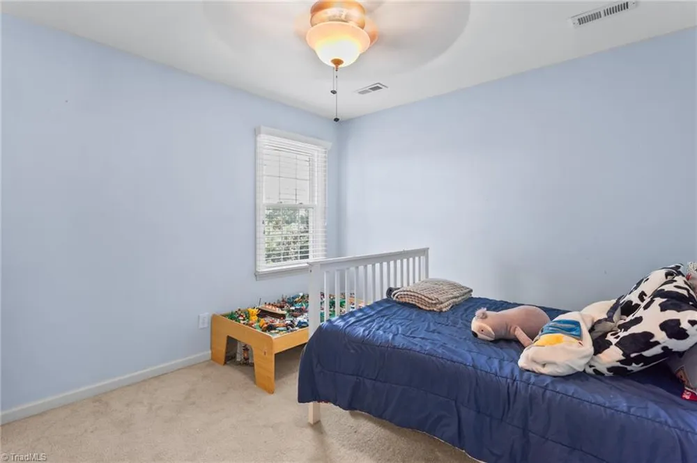 208 Ashley Trace Elon, NC 27244