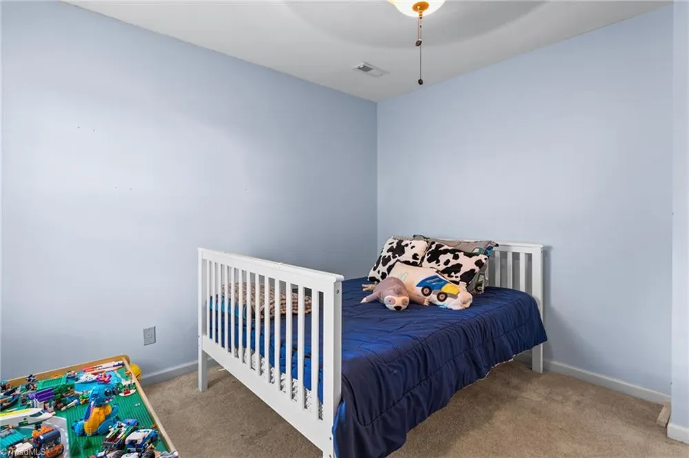208 Ashley Trace Elon, NC 27244