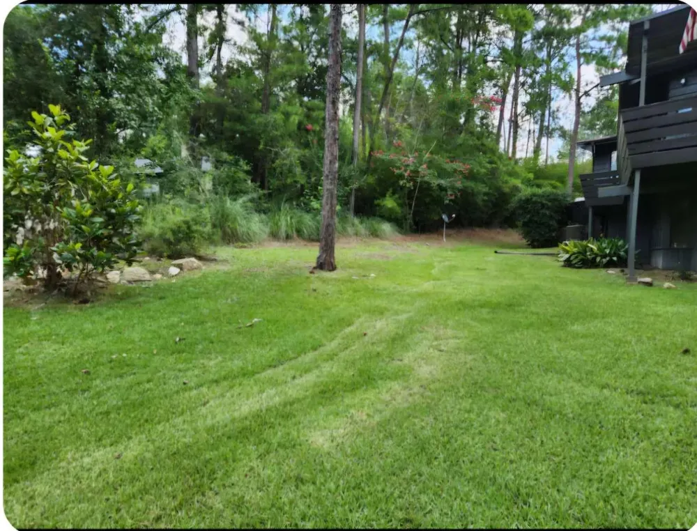 862 Lakeshore Drive Brookeland, TX 75931