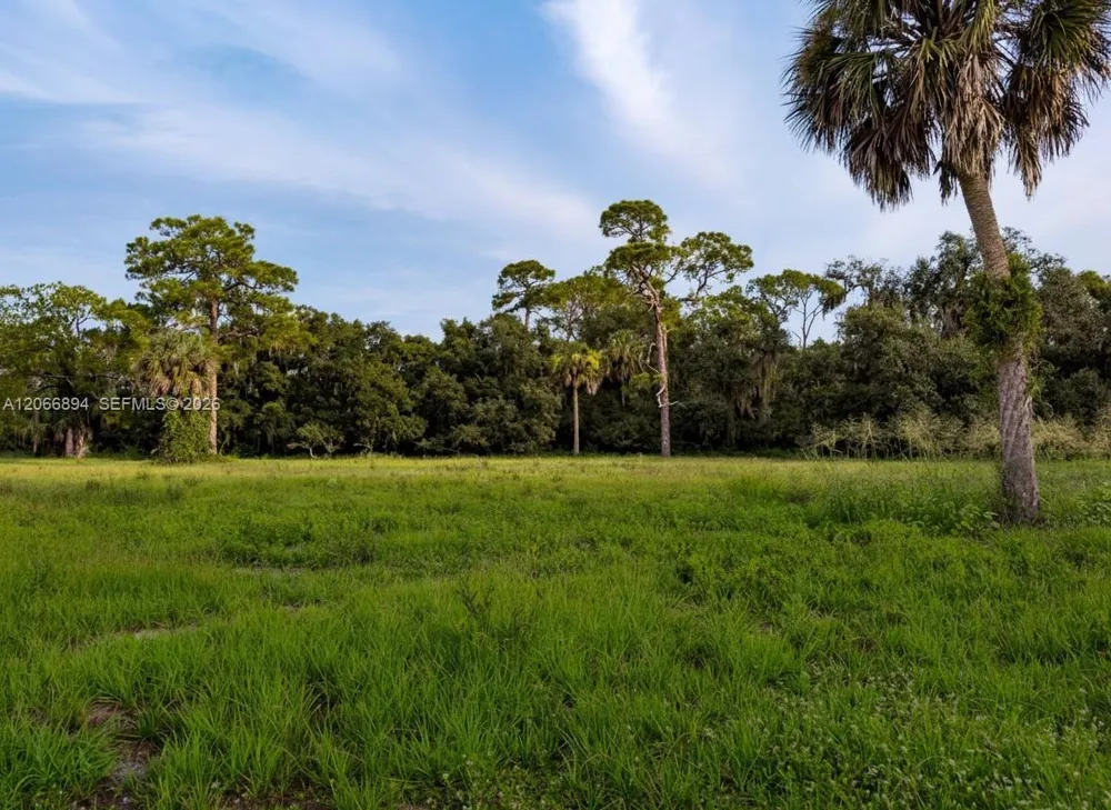 3291 Fort Denaud Rd La Belle, FL 33935