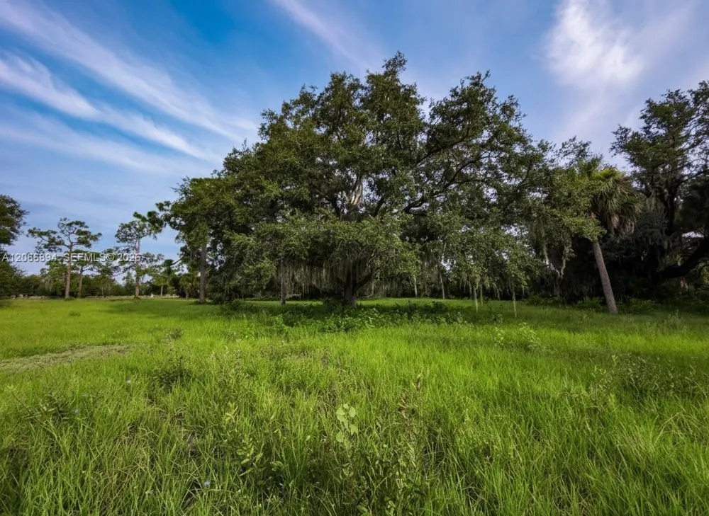 3291 Fort Denaud Rd La Belle, FL 33935