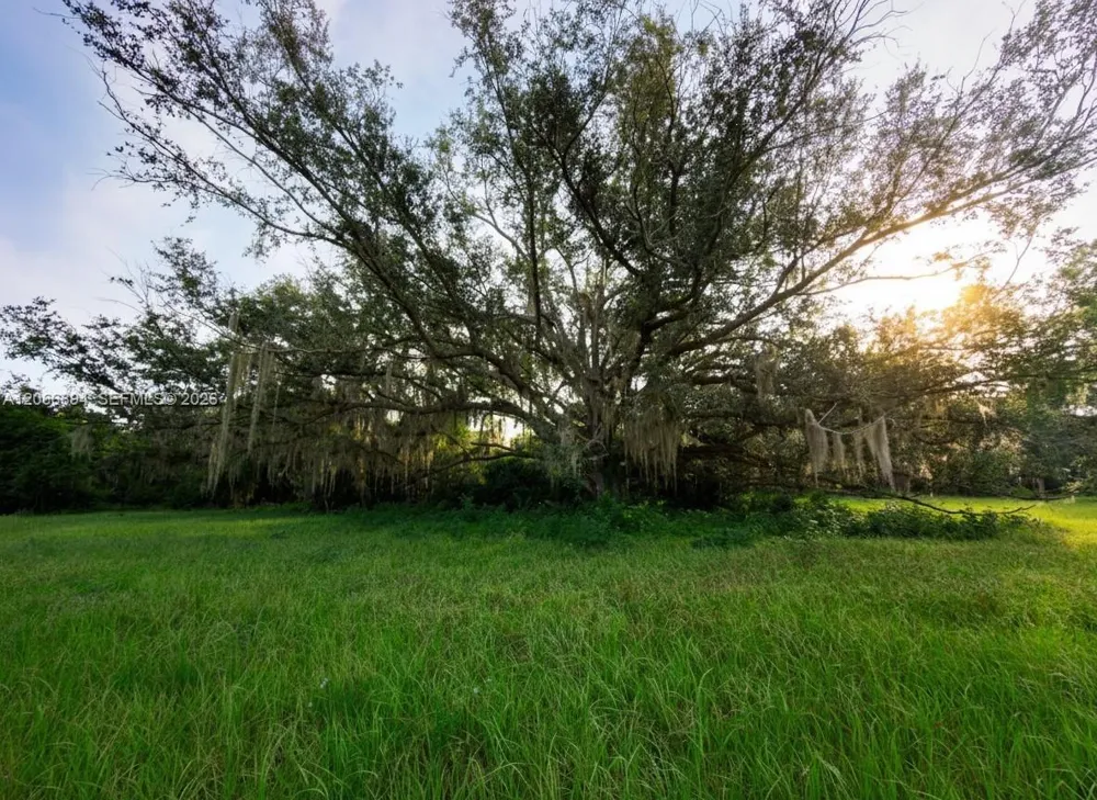 3291 Fort Denaud Rd La Belle, FL 33935