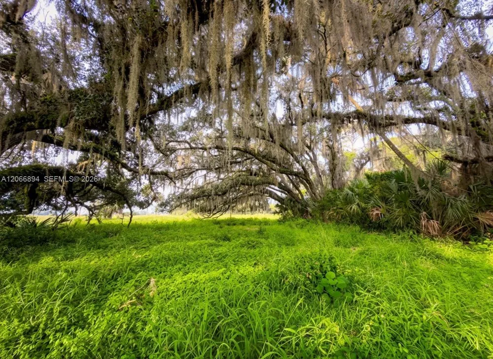 3291 Fort Denaud Rd La Belle, FL 33935