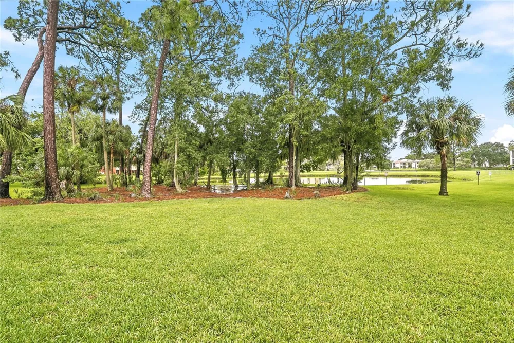 205 MARTHA LANE #205 Oldsmar, FL 34677