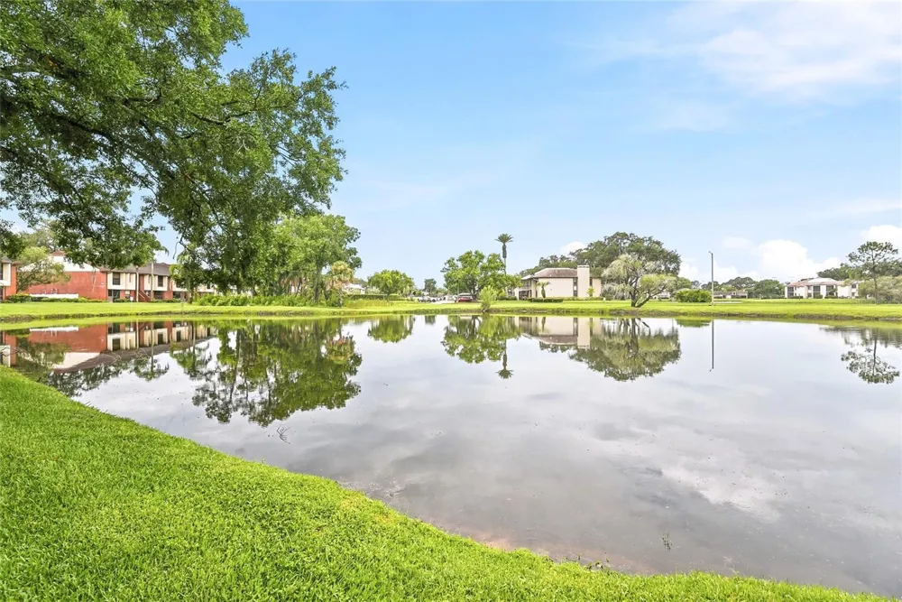 205 MARTHA LANE #205 Oldsmar, FL 34677