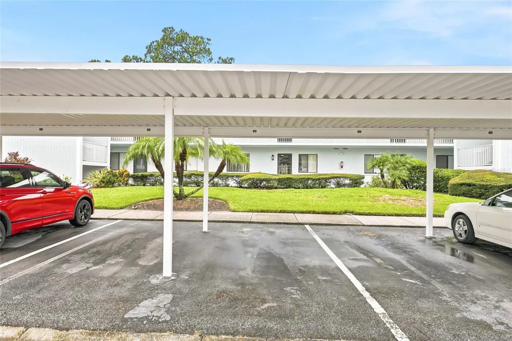 205 MARTHA LANE #205 Oldsmar, FL 34677