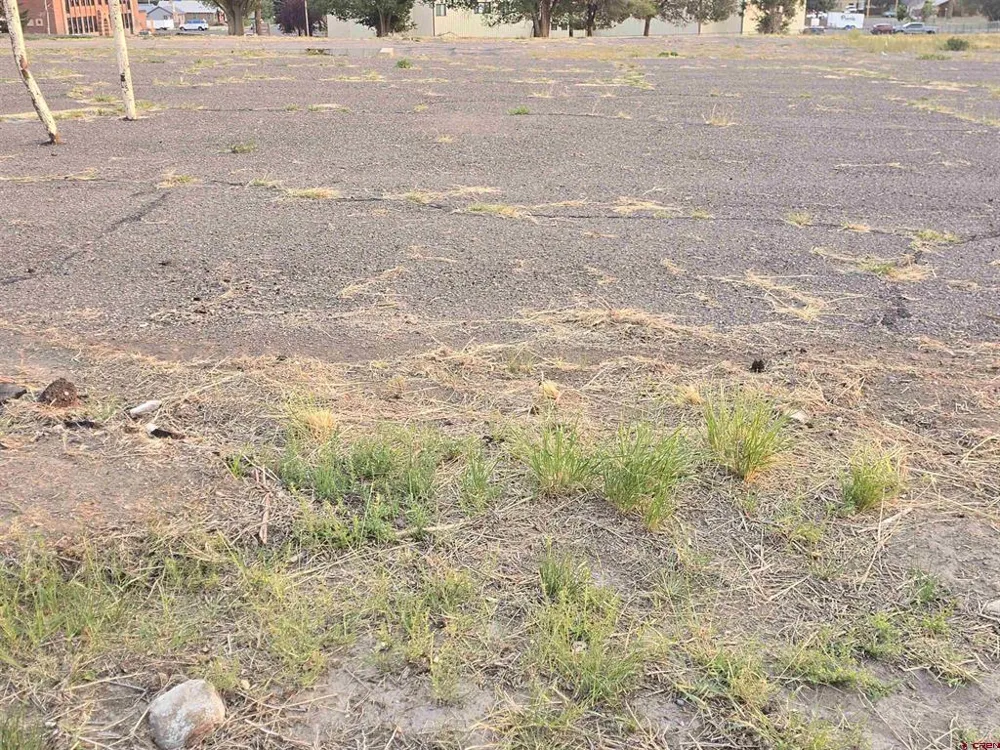10th Street Del Norte, CO 81132