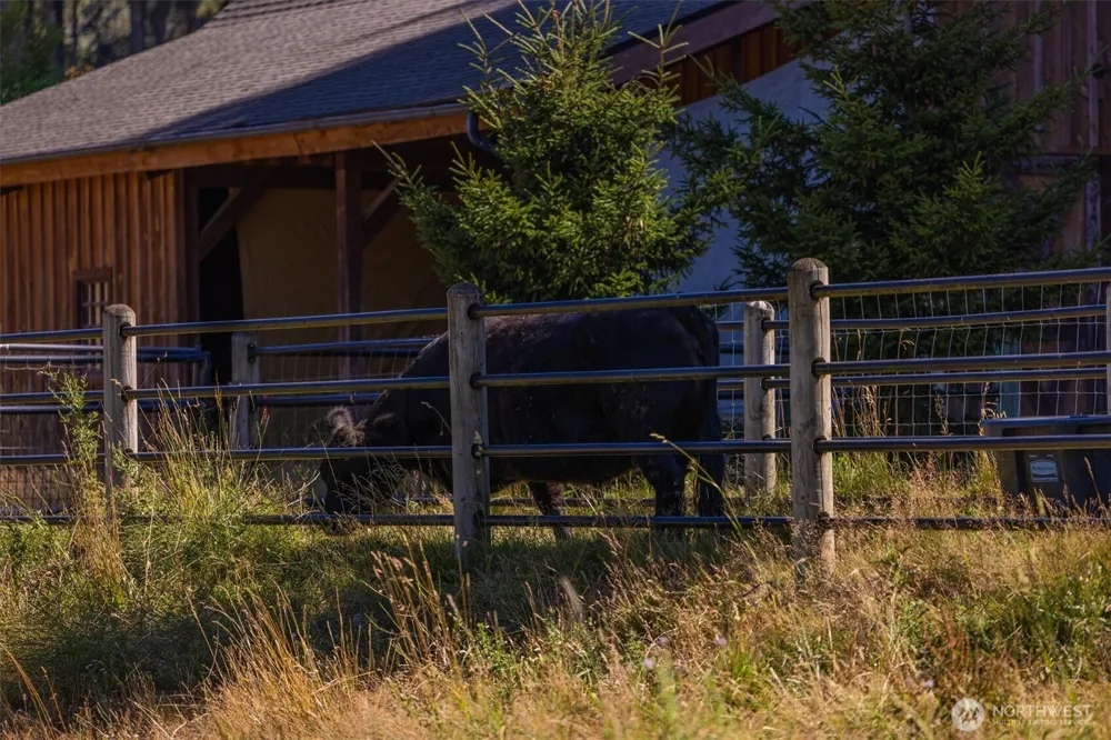 13505 NE Grantham Road Amboy, WA 98601