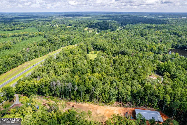 Braswell Lake Road Gray, GA 31032