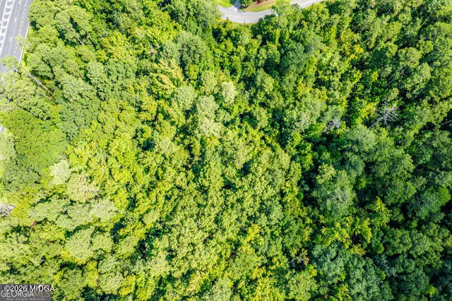 Braswell Lake Road Gray, GA 31032