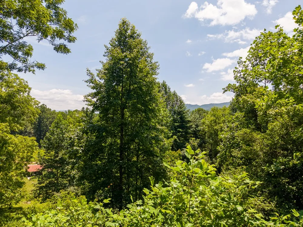 North Skeenah Rd Franklin, NC 28734