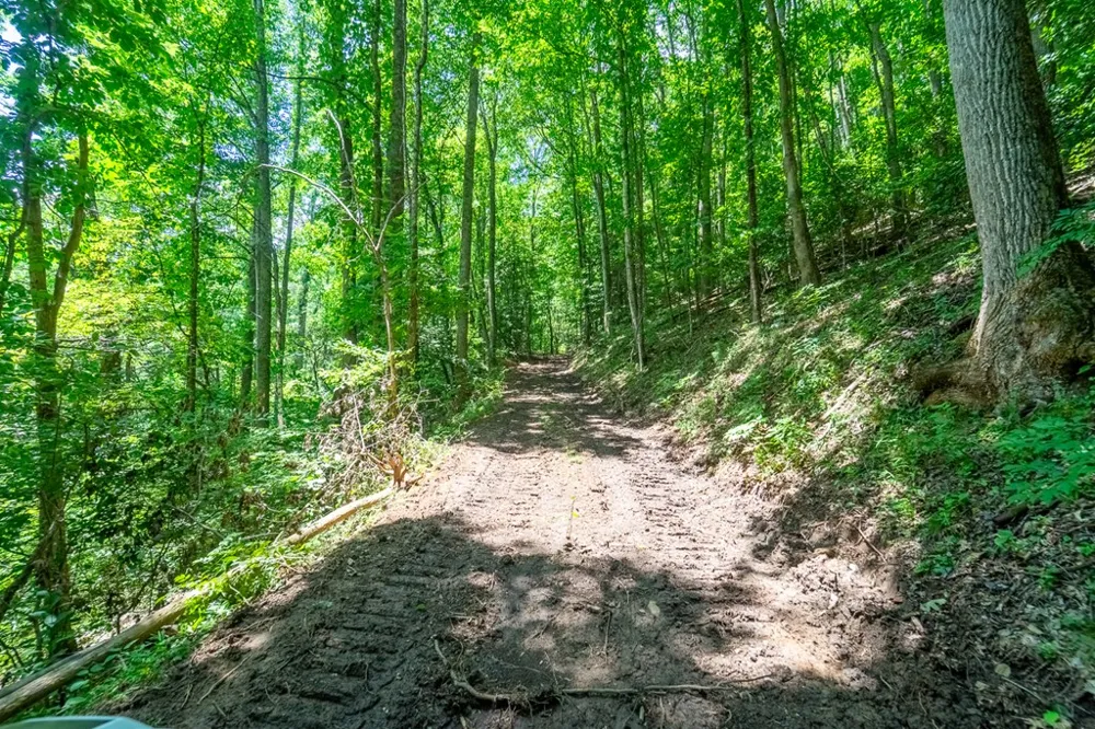 North Skeenah Rd Franklin, NC 28734