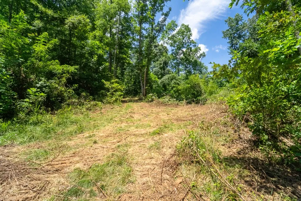 North Skeenah Rd Franklin, NC 28734
