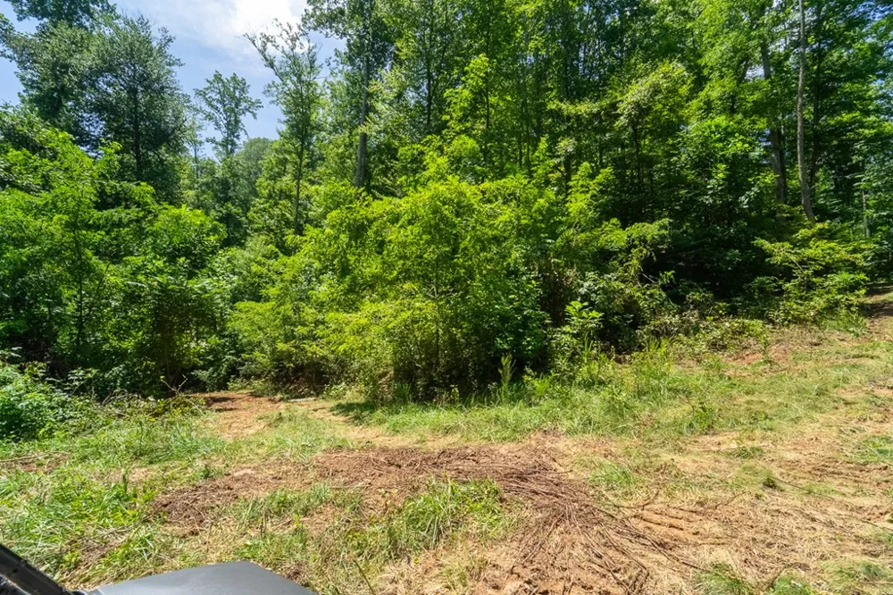 North Skeenah Rd Franklin, NC 28734