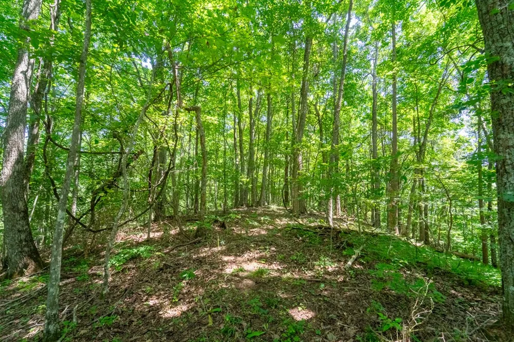 North Skeenah Rd Franklin, NC 28734