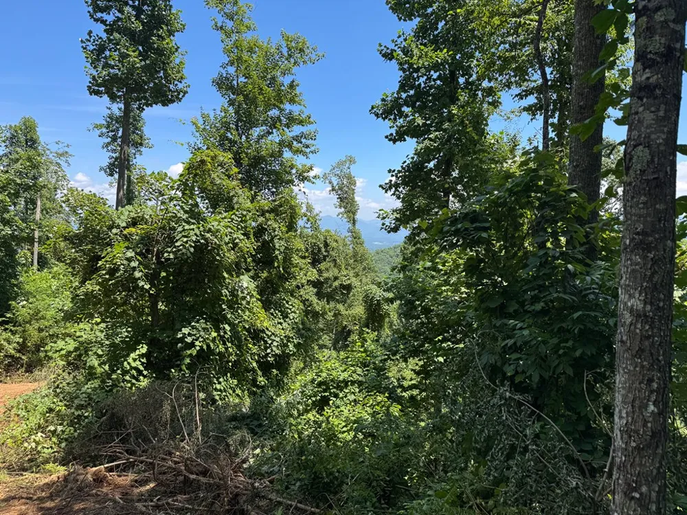 North Skeenah Rd Franklin, NC 28734
