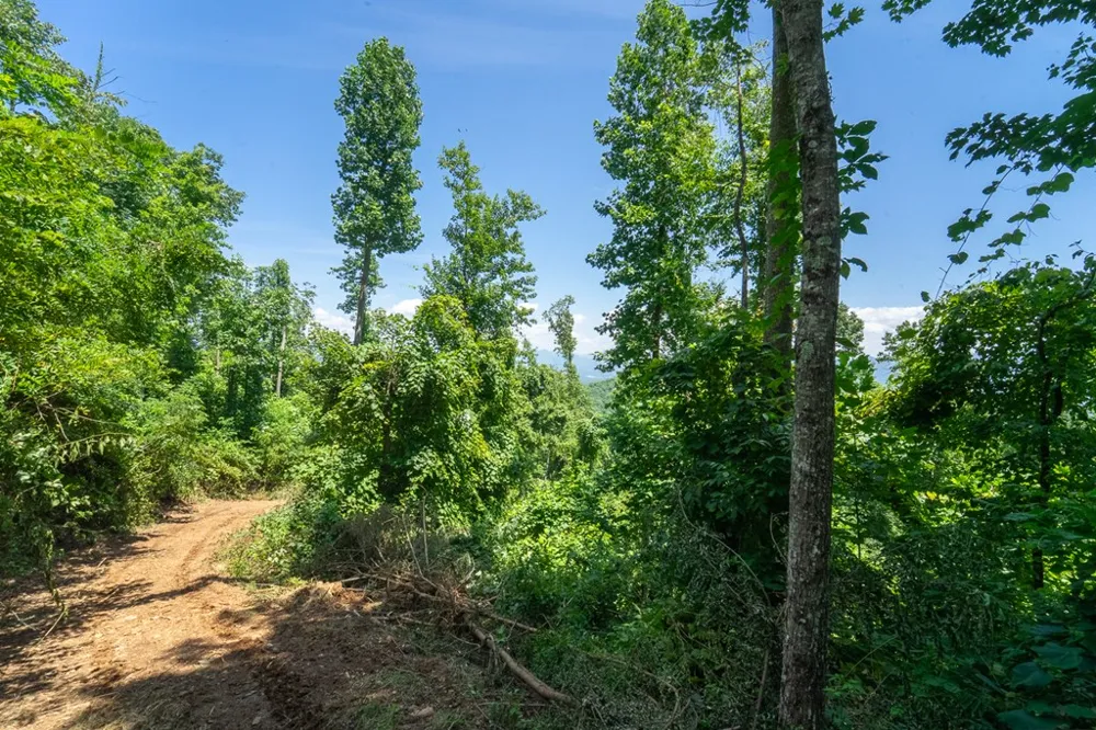 North Skeenah Rd Franklin, NC 28734