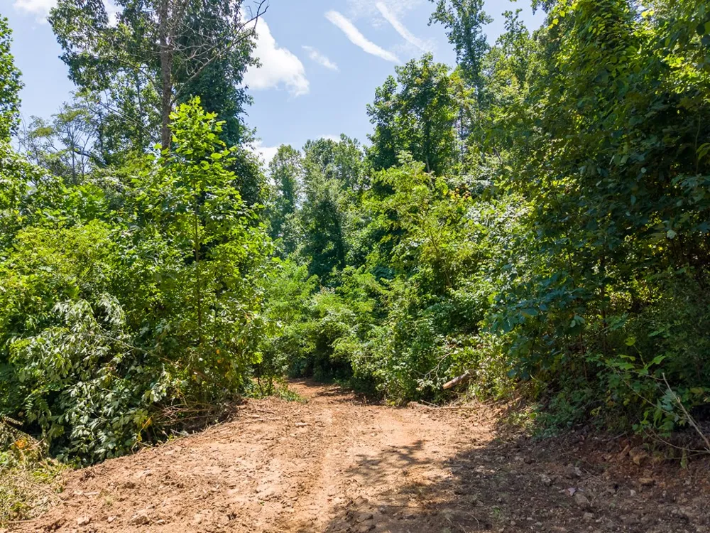 North Skeenah Rd Franklin, NC 28734