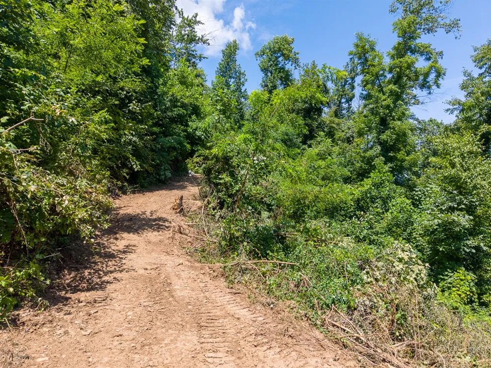 North Skeenah Rd Franklin, NC 28734