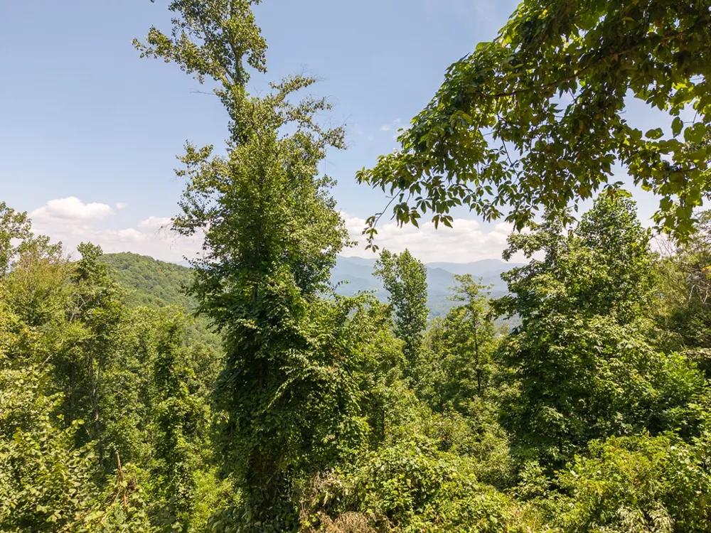 North Skeenah Rd Franklin, NC 28734