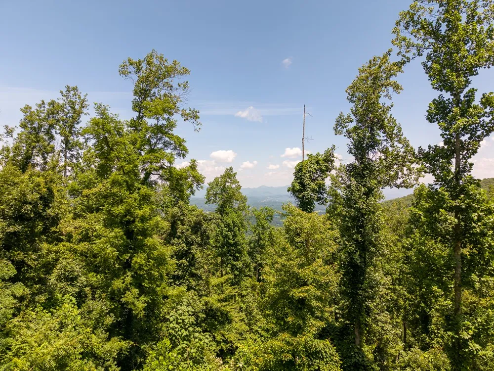 North Skeenah Rd Franklin, NC 28734