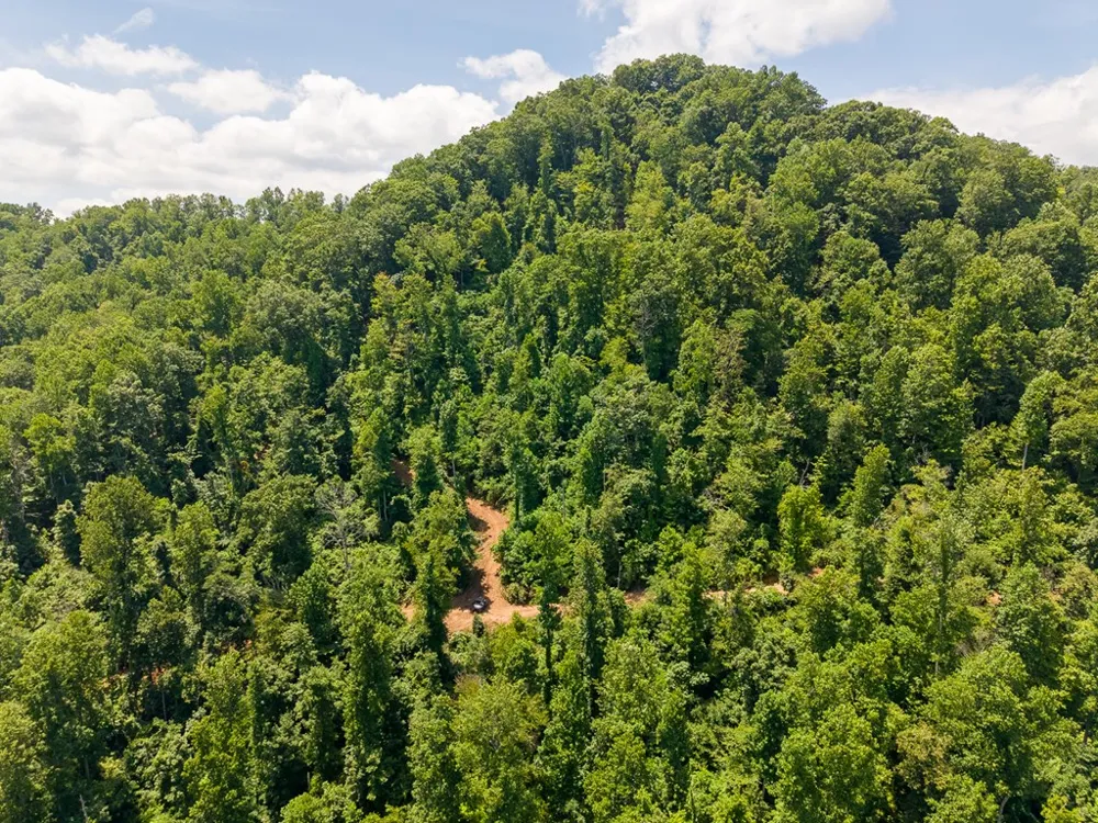 North Skeenah Rd Franklin, NC 28734