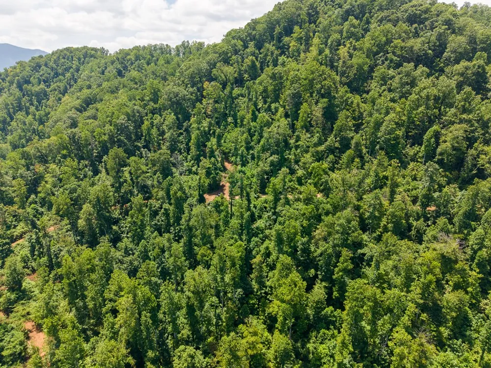 North Skeenah Rd Franklin, NC 28734
