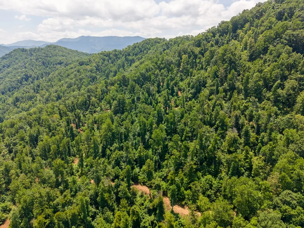 North Skeenah Rd Franklin, NC 28734