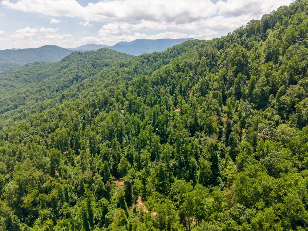North Skeenah Rd Franklin, NC 28734