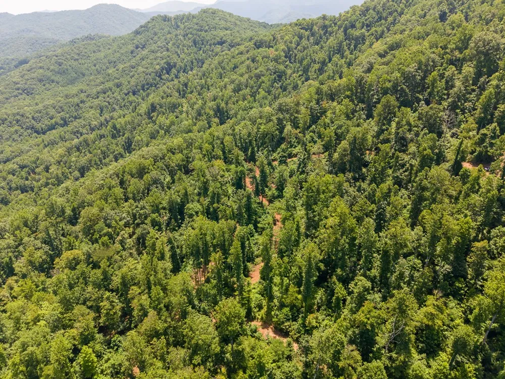 North Skeenah Rd Franklin, NC 28734
