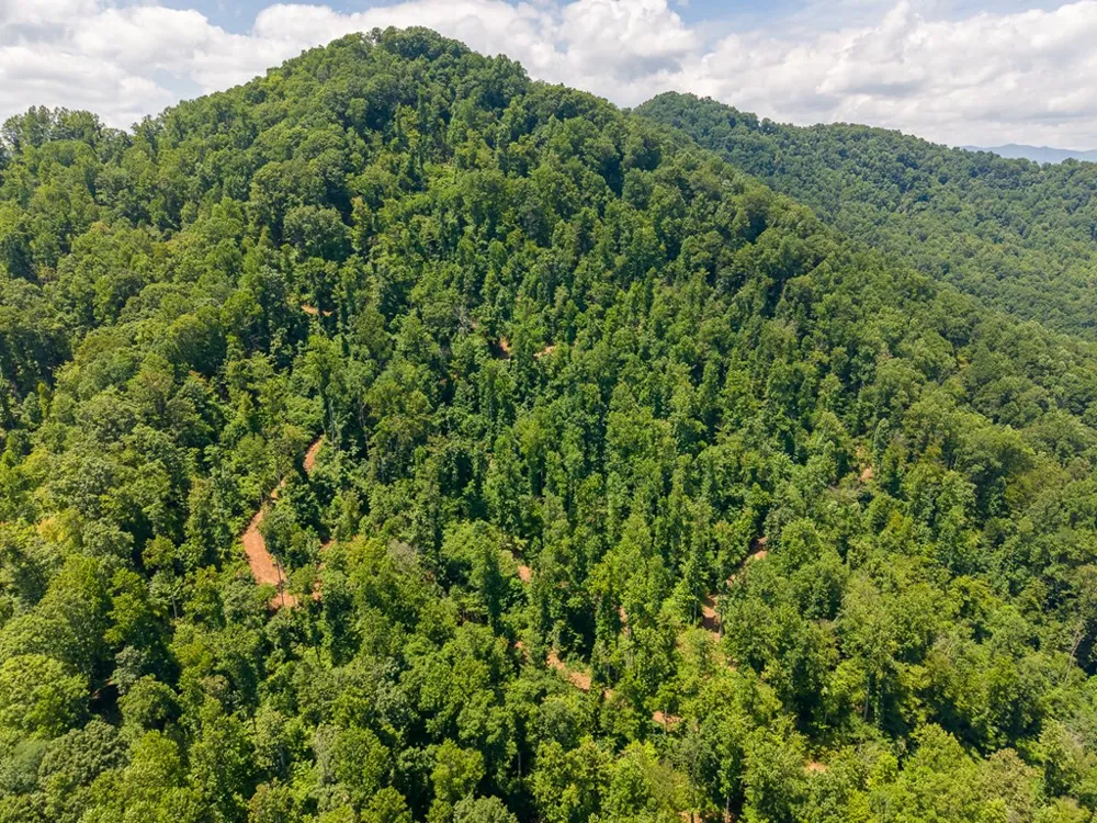 North Skeenah Rd Franklin, NC 28734