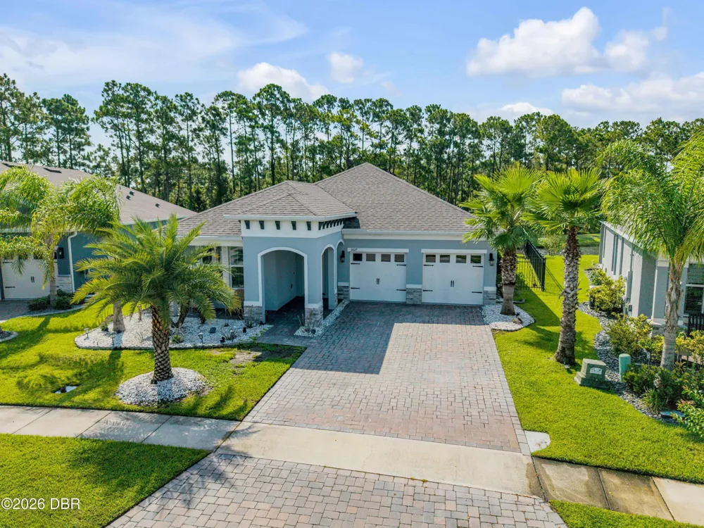 3027 Borassus Drive New Smyrna Beach, FL 32168