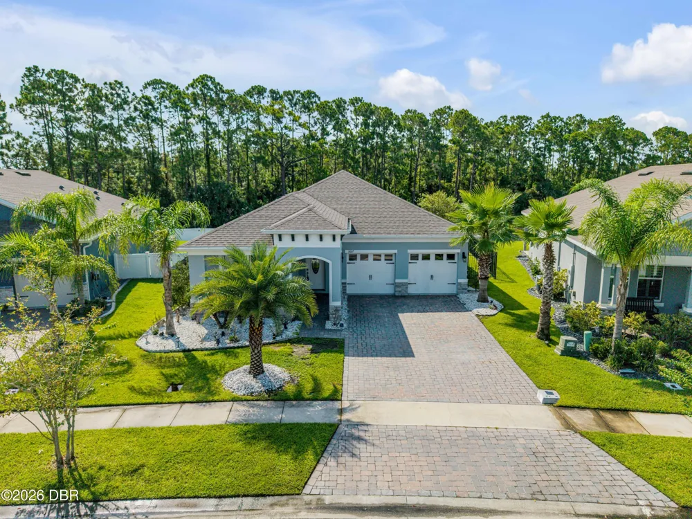 3027 Borassus Drive New Smyrna Beach, FL 32168