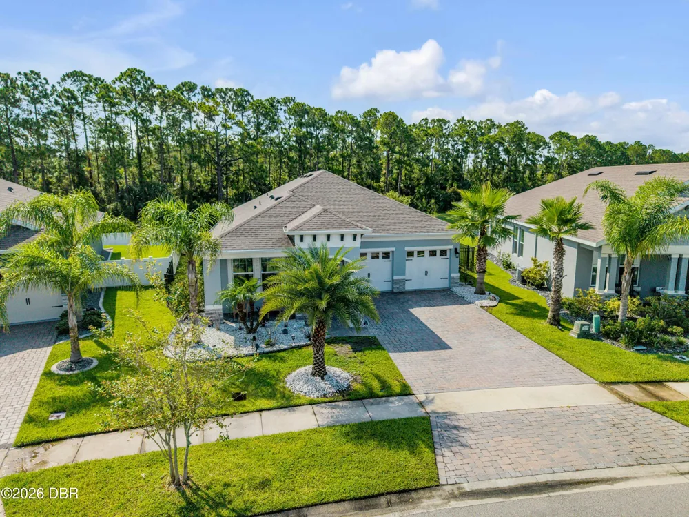 3027 Borassus Drive New Smyrna Beach, FL 32168