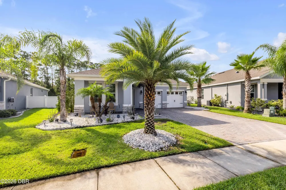 3027 Borassus Drive New Smyrna Beach, FL 32168