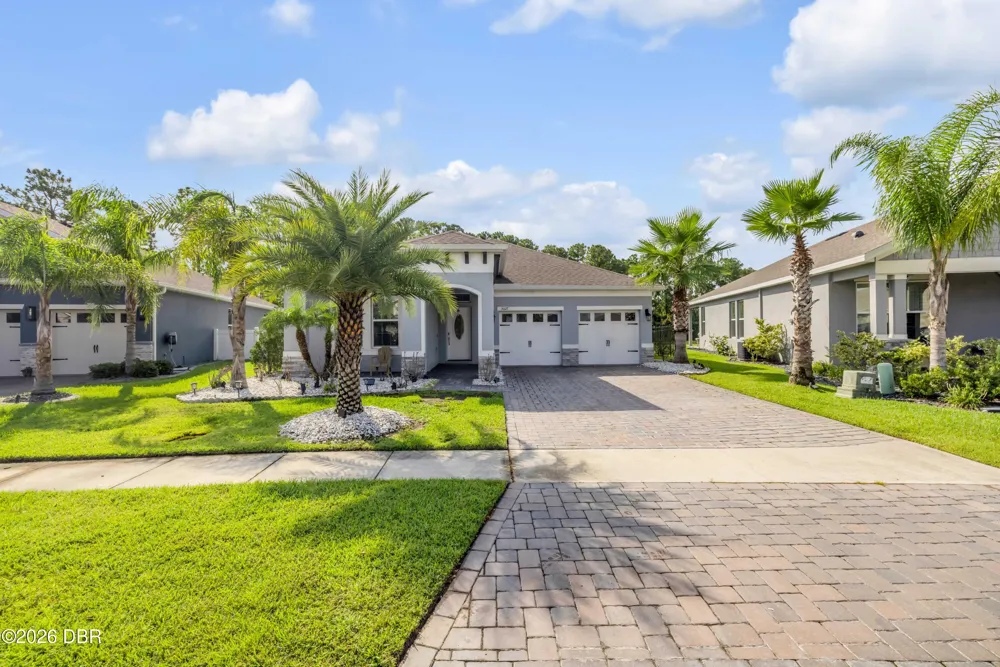 3027 Borassus Drive New Smyrna Beach, FL 32168