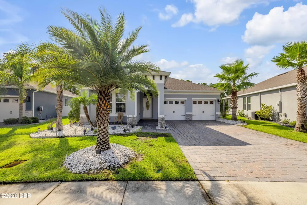 3027 Borassus Drive New Smyrna Beach, FL 32168