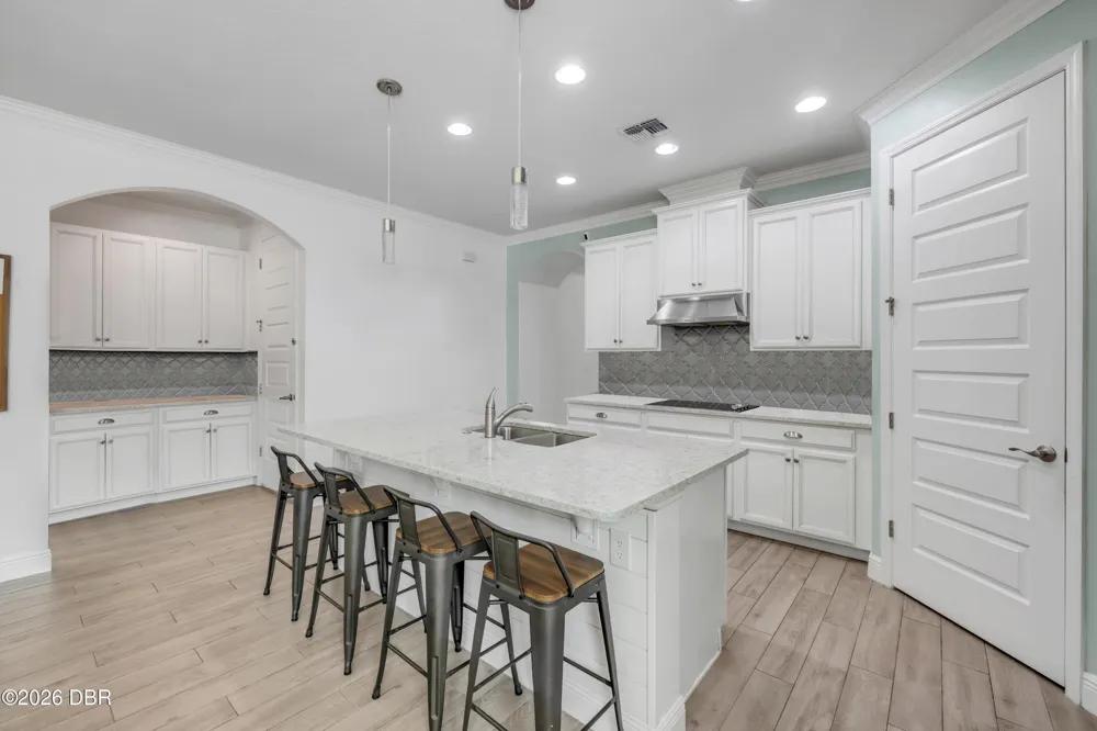 3027 Borassus Drive New Smyrna Beach, FL 32168
