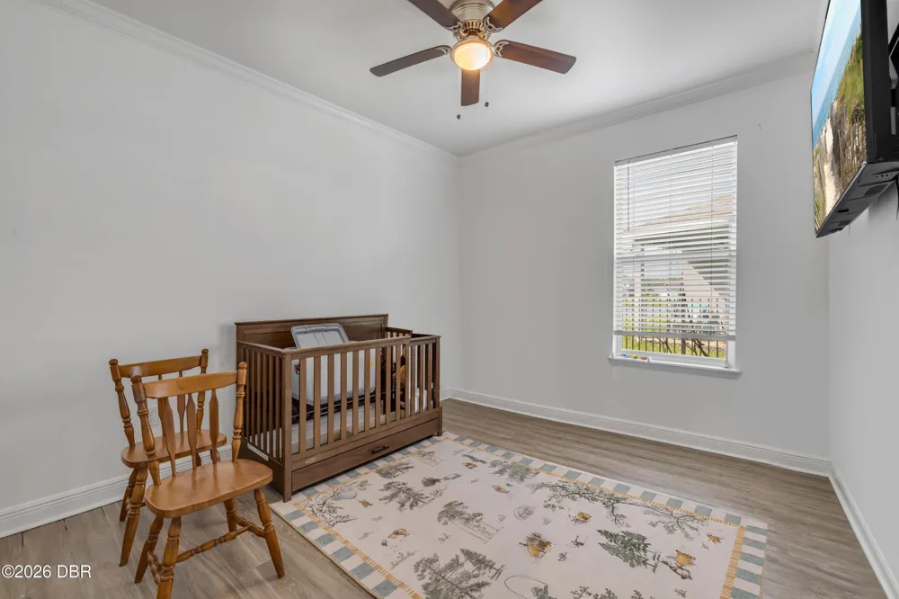 3027 Borassus Drive New Smyrna Beach, FL 32168